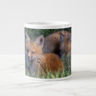 Niedliche Kleintiere   Paar von Red Fox Kit Geschw Jumbo-Tasse