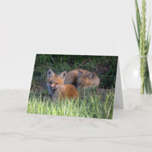 Niedliche Kleintiere Paar von Red Fox Kit Geschw Karte