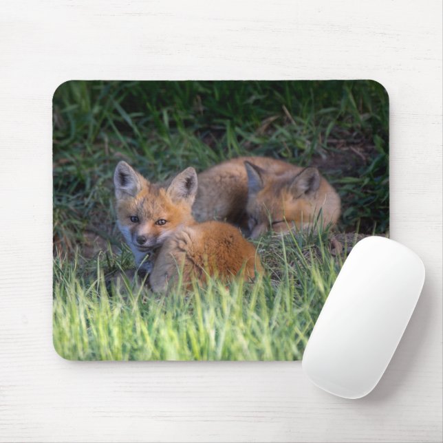 Niedliche Kleintiere | Paar von Red Fox Kit Geschw Mousepad (Mit Mouse)
