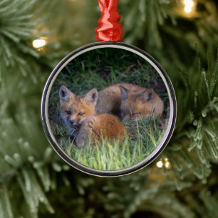 Niedliche Kleintiere   Paar von Red Fox Kit Geschw Ornament Aus Metall