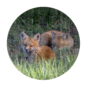 Niedliche Kleintiere   Paar von Red Fox Kit Geschw Schneidebrett