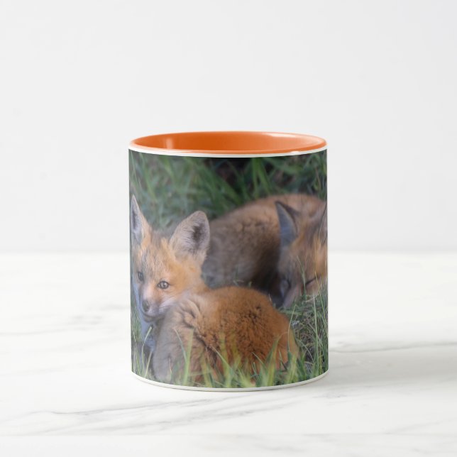 Niedliche Kleintiere | Paar von Red Fox Kit Geschw Tasse (Zentrum)