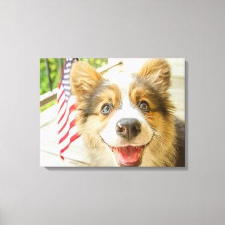 Niedliche Kleintiere | Patriotic Corgi Puppy Leinwanddruck