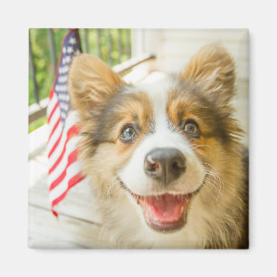 Niedliche Kleintiere Patriotic Corgi Puppy Magnet