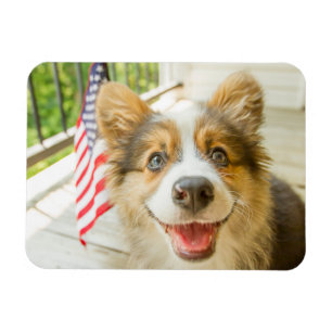 Niedliche Kleintiere   Patriotic Corgi Puppy Magnet