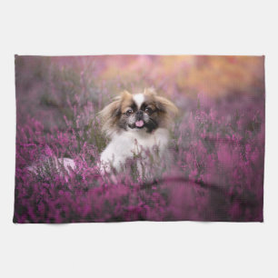 Niedliche Kleintiere   Pekingese Puppy Geschirrtuch