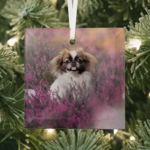 Niedliche Kleintiere Pekingese Puppy Ornament Aus Glas