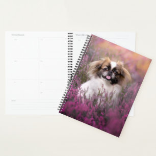 Niedliche Kleintiere Pekingese Puppy Planer