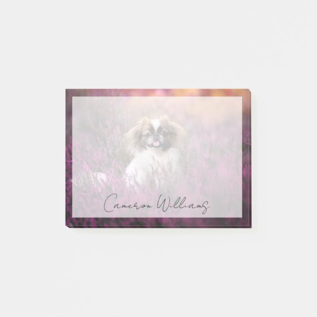 Niedliche Kleintiere | Pekingese Puppy Post-it Klebezettel (Vorderseite)