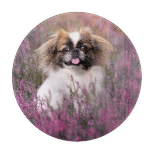 Niedliche Kleintiere   Pekingese Puppy Schneidebrett
