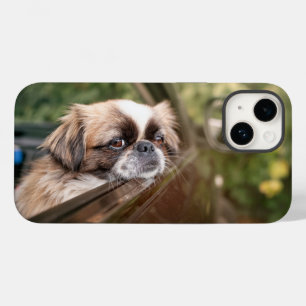 Niedliche Kleintiere Pekingese Welpe im Auto Case-Mate iPhone 14 Hülle