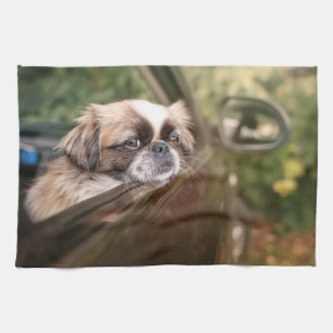 Niedliche Kleintiere   Pekingese Welpe im Auto Geschirrtuch