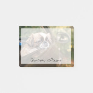 Niedliche Kleintiere   Pekingese Welpe im Auto Post-it Klebezettel