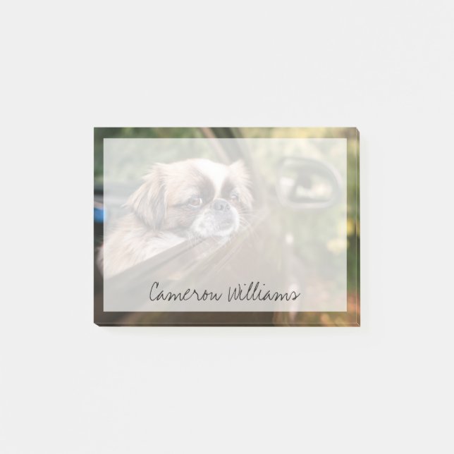 Niedliche Kleintiere | Pekingese Welpe im Auto Post-it Klebezettel (Vorderseite)