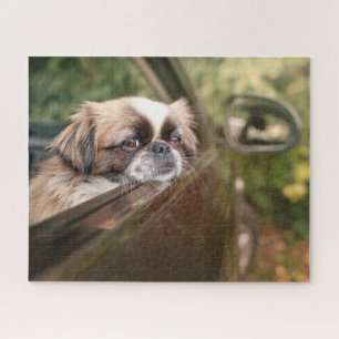 Niedliche Kleintiere Pekingese Welpe im Auto Puzzle
