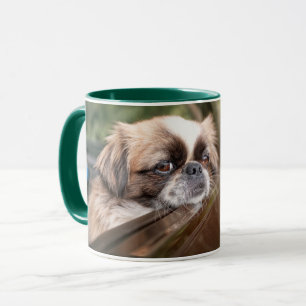 Niedliche Kleintiere   Pekingese Welpe im Auto Tasse