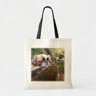 Niedliche Kleintiere   Pekingese Welpe im Auto Tragetasche