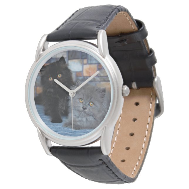 Niedliche Kleintiere | Persische Kätzchen auf der  Armbanduhr (Schrägansicht)