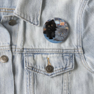 Niedliche Kleintiere   Persische Kätzchen auf der  Button