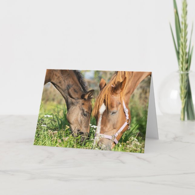 Niedliche Kleintiere | Pferdekälte Karte (Vorderseite)