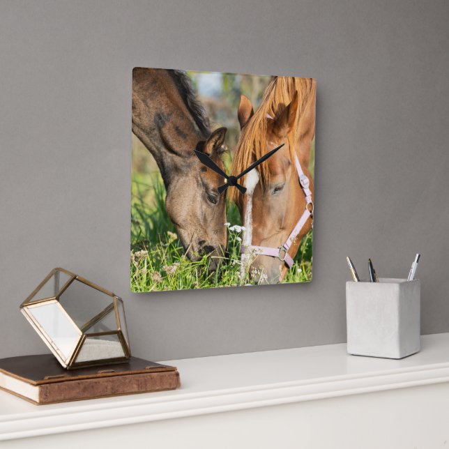 Niedliche Kleintiere | Pferdekälte Quadratische Wanduhr (Büro)