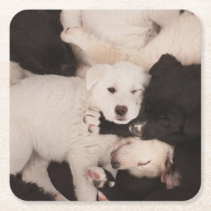 Niedliche Kleintiere   Pile von Welpen Rechteckiger Pappuntersetzer