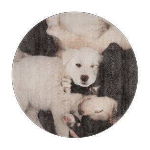 Niedliche Kleintiere   Pile von Welpen Schneidebrett