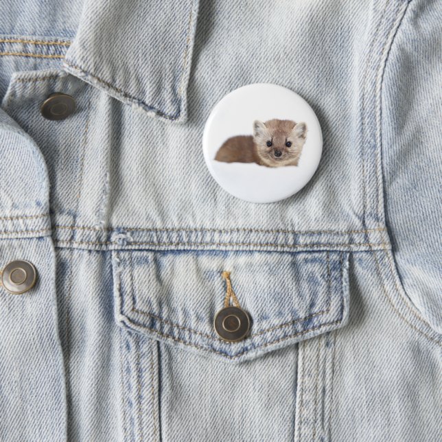Niedliche Kleintiere | Pine Marten Button (Beispiel)
