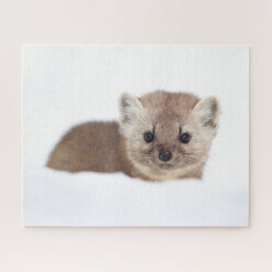 Niedliche Kleintiere Pine Marten Puzzle