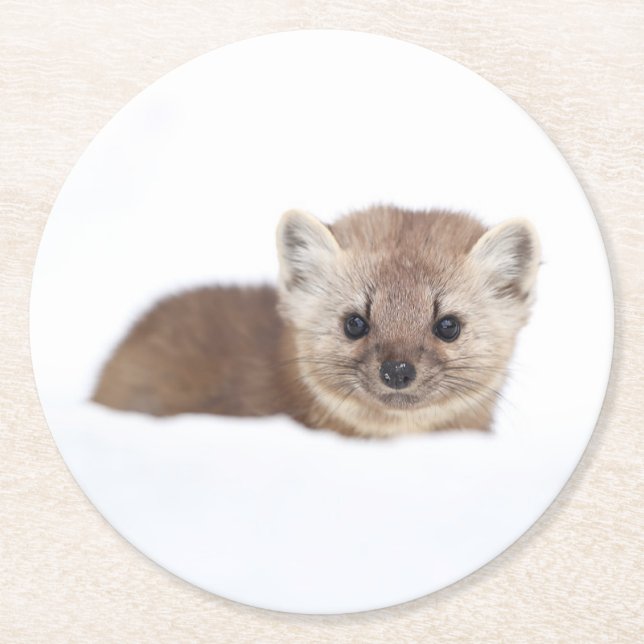 Niedliche Kleintiere | Pine Marten Runder Pappuntersetzer (Vorderseite)