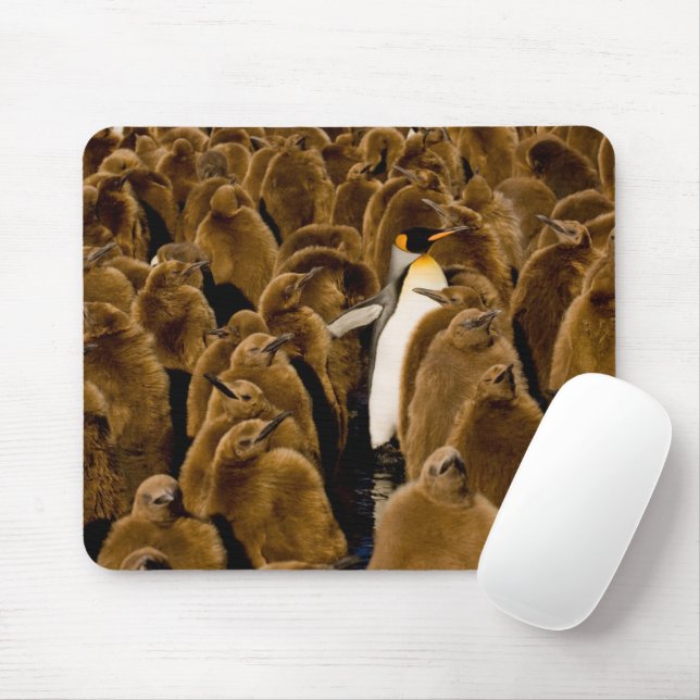 Niedliche Kleintiere | Pinguin unter Jugendlichen Mousepad (Mit Mouse)