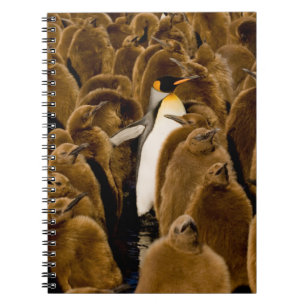 Niedliche Kleintiere Pinguin unter Jugendlichen Notizblock