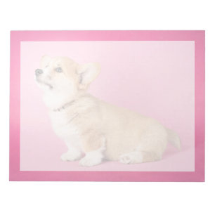 Niedliche Kleintiere   Pink Corgi Puppy Notizblock