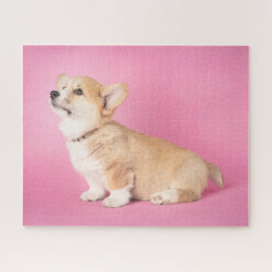 Niedliche Kleintiere   Pink Corgi Puppy Puzzle