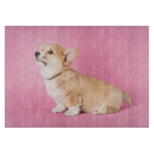 Niedliche Kleintiere   Pink Corgi Puppy Schneidebrett