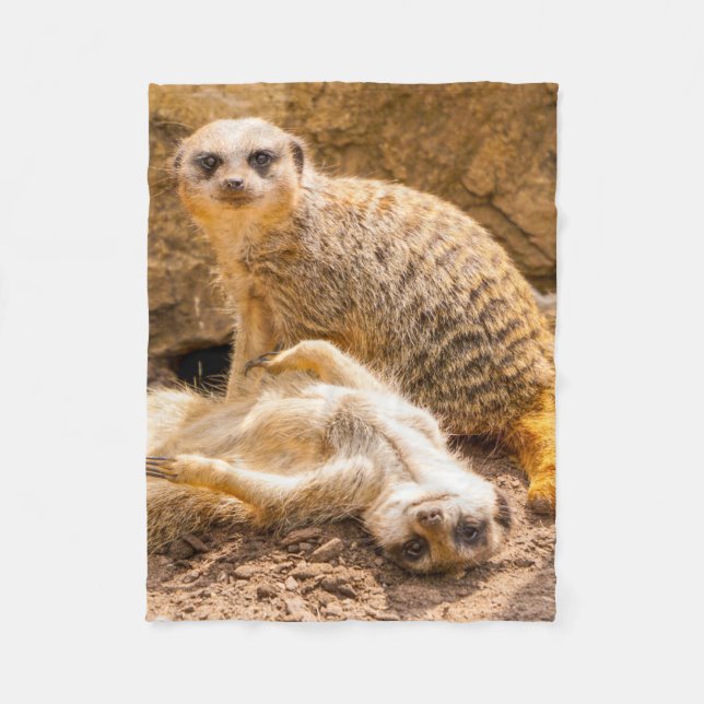 Niedliche Kleintiere | Playful Meerkats Fleecedecke (Vorderseite)