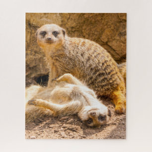 Niedliche Kleintiere   Playful Meerkats Puzzle