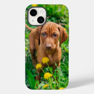 Niedliche Kleintiere   Pointer Puppy Case-Mate iPhone 14 Hülle