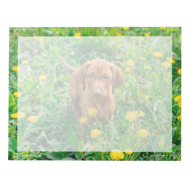 Niedliche Kleintiere | Pointer Puppy Notizblock (Vorderseite)