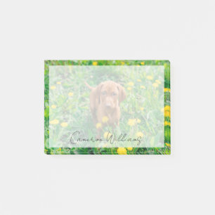 Niedliche Kleintiere Pointer Puppy Post-it Klebezettel