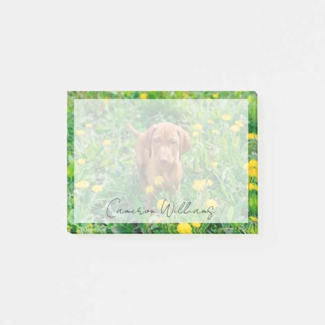 Niedliche Kleintiere | Pointer Puppy Post-it Klebezettel (Vorderseite)