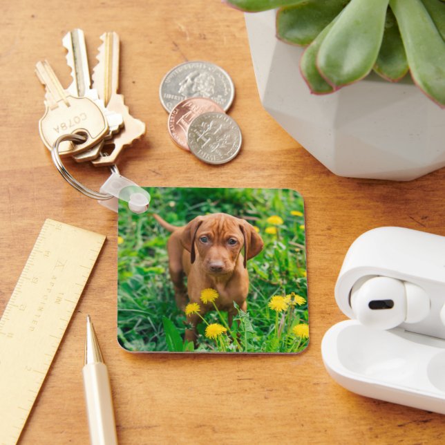 Niedliche Kleintiere | Pointer Puppy Schlüsselanhänger (Schreibtisch)