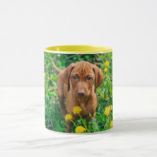Niedliche Kleintiere   Pointer Puppy Tasse