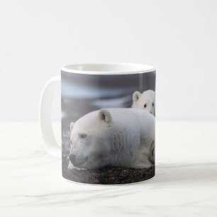 Niedliche Kleintiere   Polar Bear Family Alaska Kaffeetasse