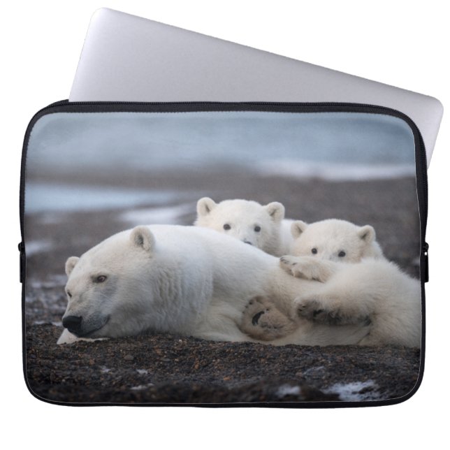 Niedliche Kleintiere | Polar Bear Family Alaska Laptopschutzhülle (Vorderseite)