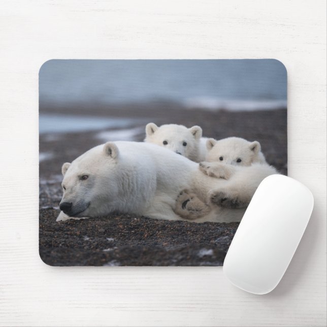 Niedliche Kleintiere | Polar Bear Family Alaska Mousepad (Mit Mouse)