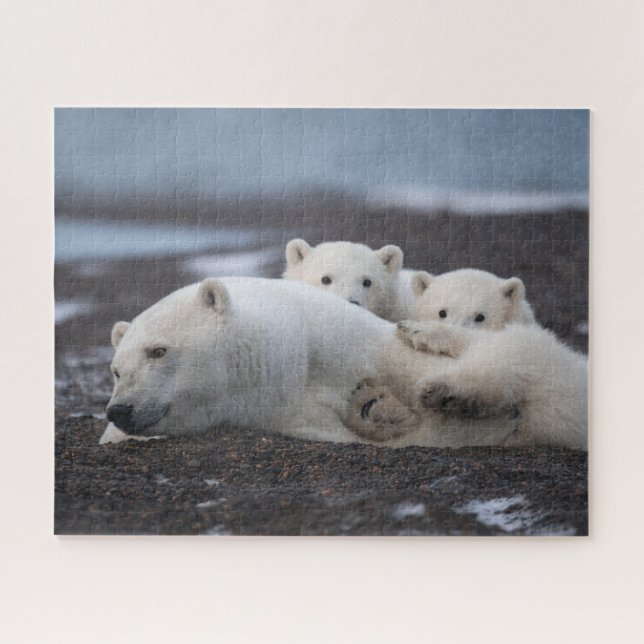 Niedliche Kleintiere | Polar Bear Family Alaska Puzzle (Horizontal)