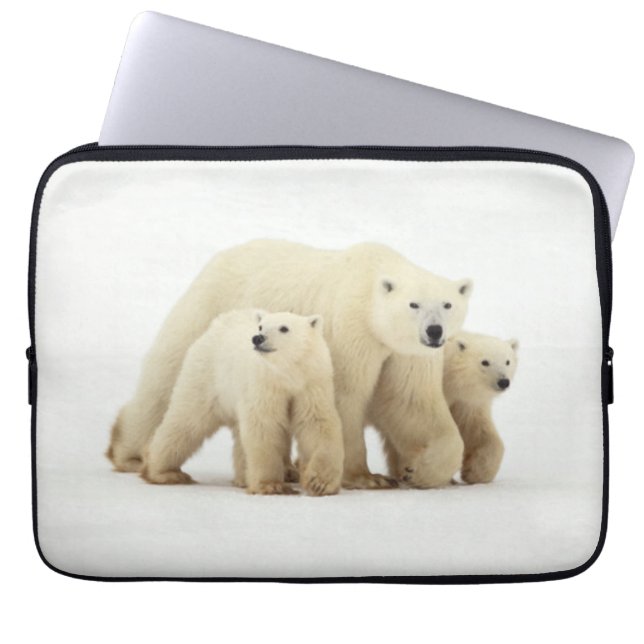 Niedliche Kleintiere | Polar Bear Family Laptopschutzhülle (Vorderseite)