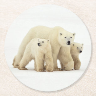 Niedliche Kleintiere Polar Bear Family Runder Pappuntersetzer