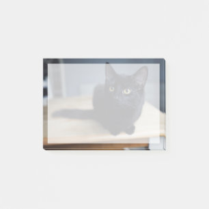 Niedliche Kleintiere Portrait einer Schwarzen Ka Post-it Klebezettel